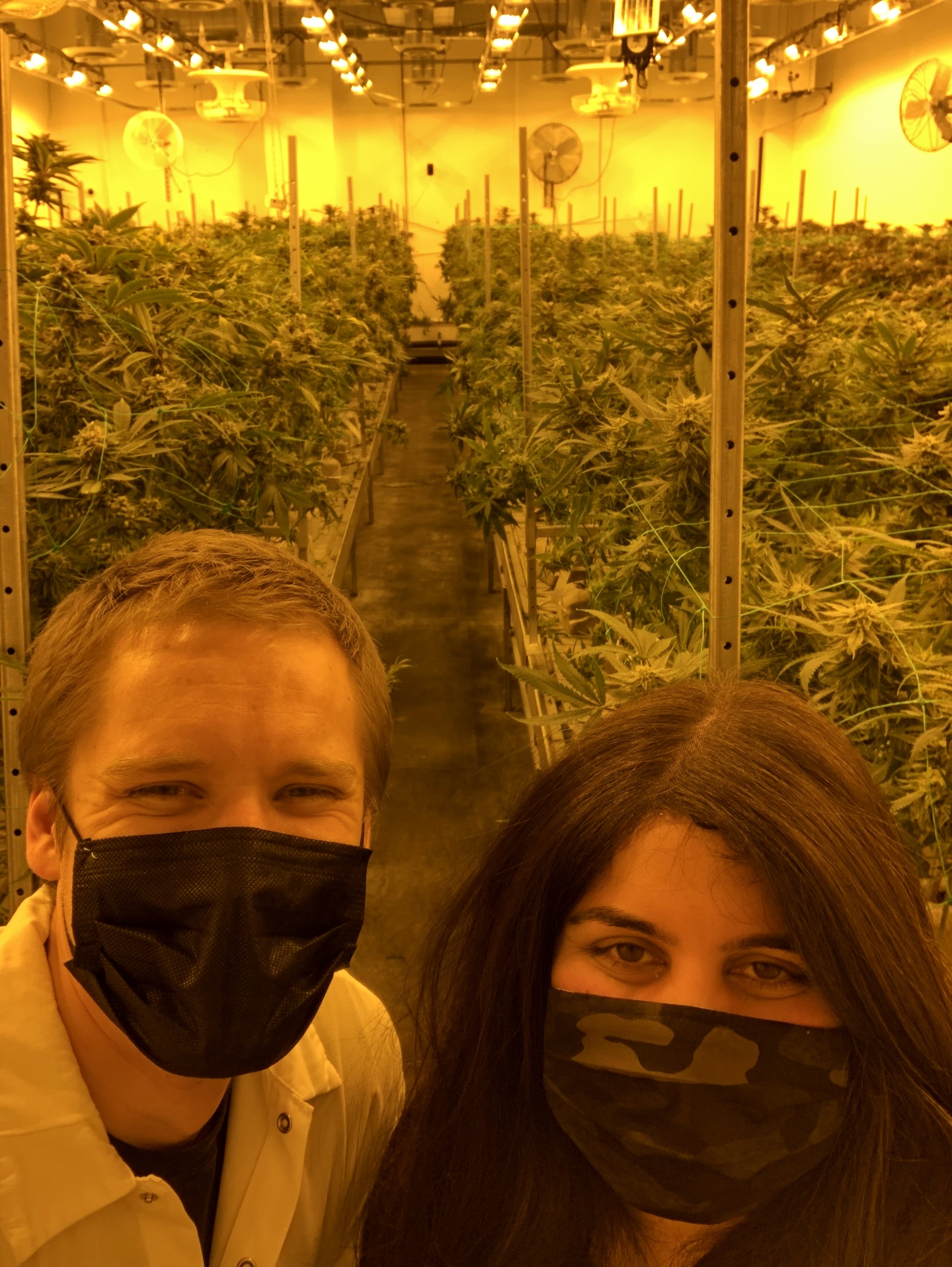 The grower behind THC